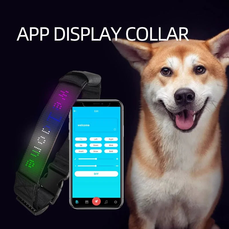 App Control LED Display Pet Collar