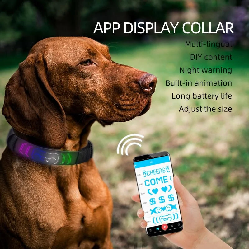 App Control LED Display Pet Collar