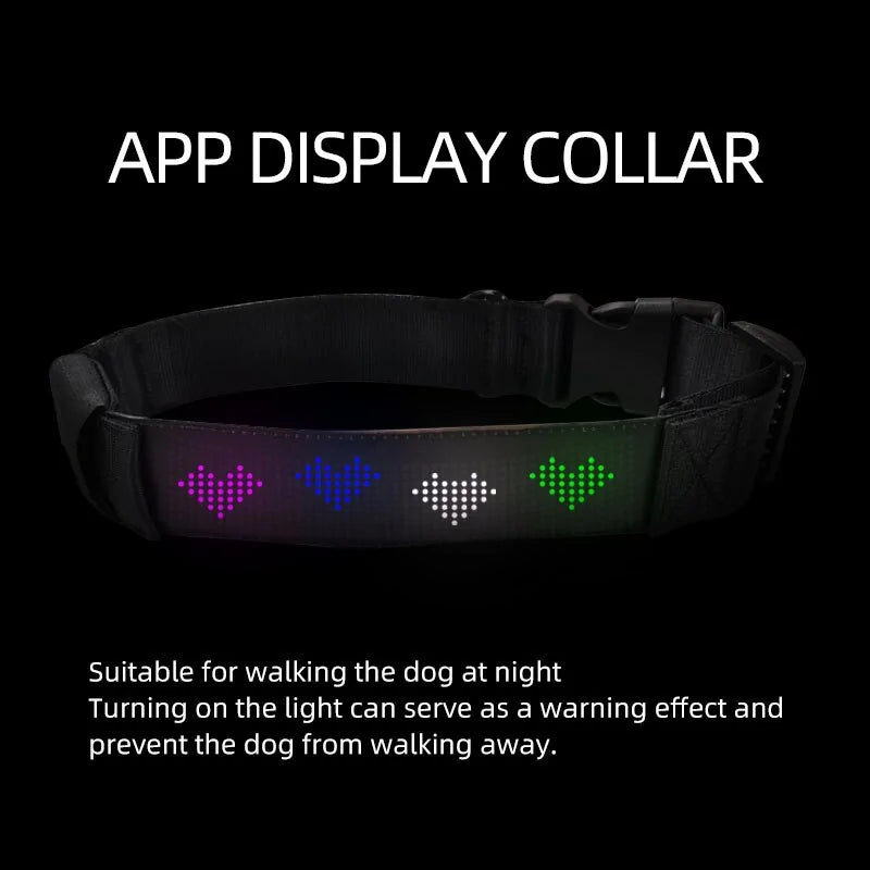 App Control LED Display Pet Collar