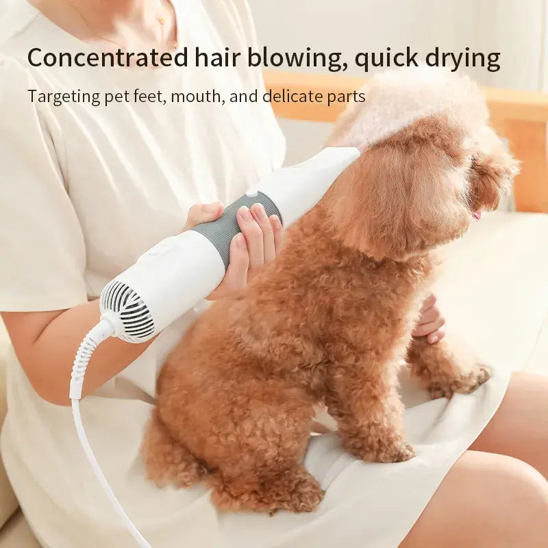 3-in-1 Pet Dryer & Comb Brush